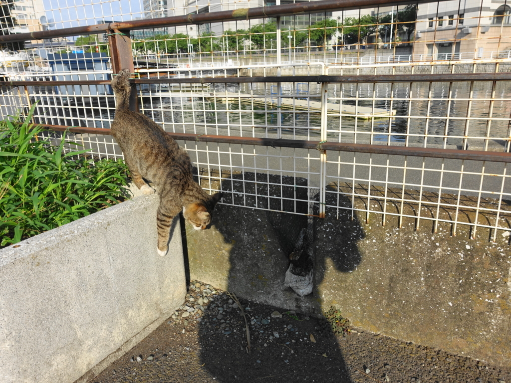 f:id:shigeo-t:20180716105122j:plain f:id:shigeo-t:20180716105122j:plain
