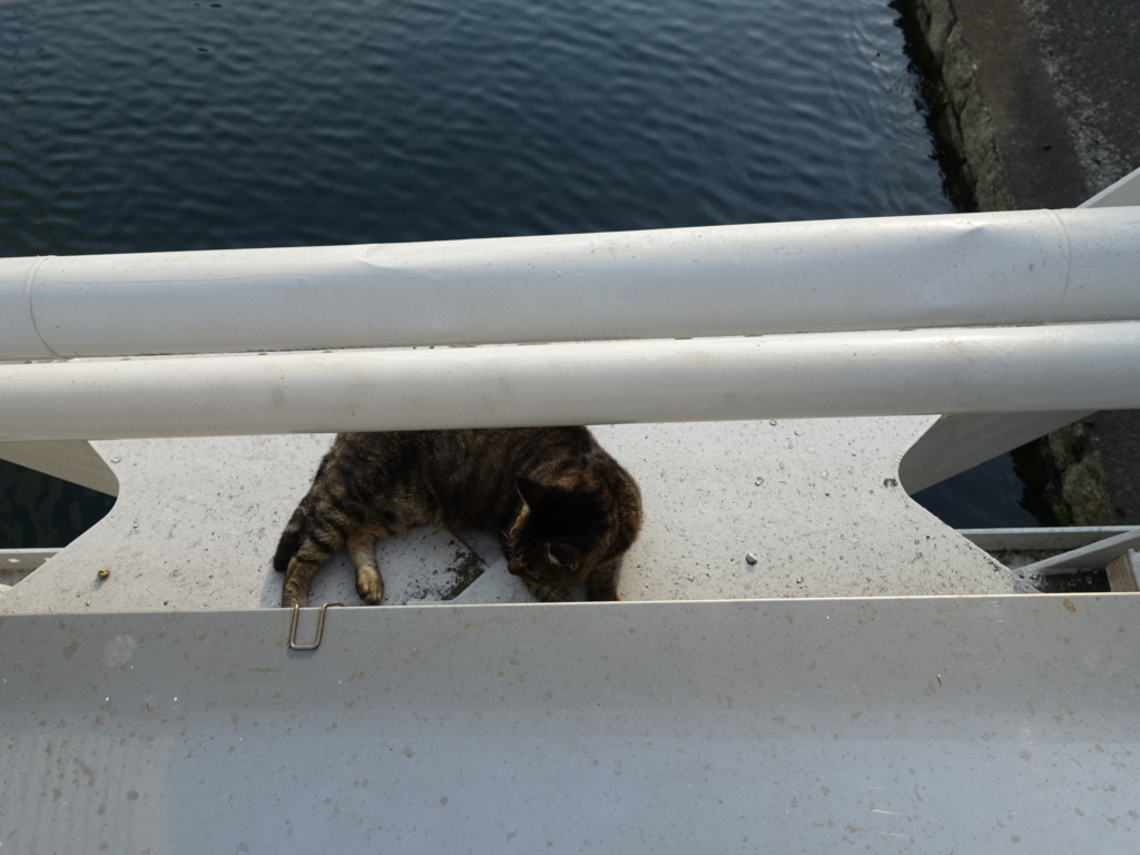 f:id:shigeo-t:20180716110901j:plain f:id:shigeo-t:20180716110901j:plain