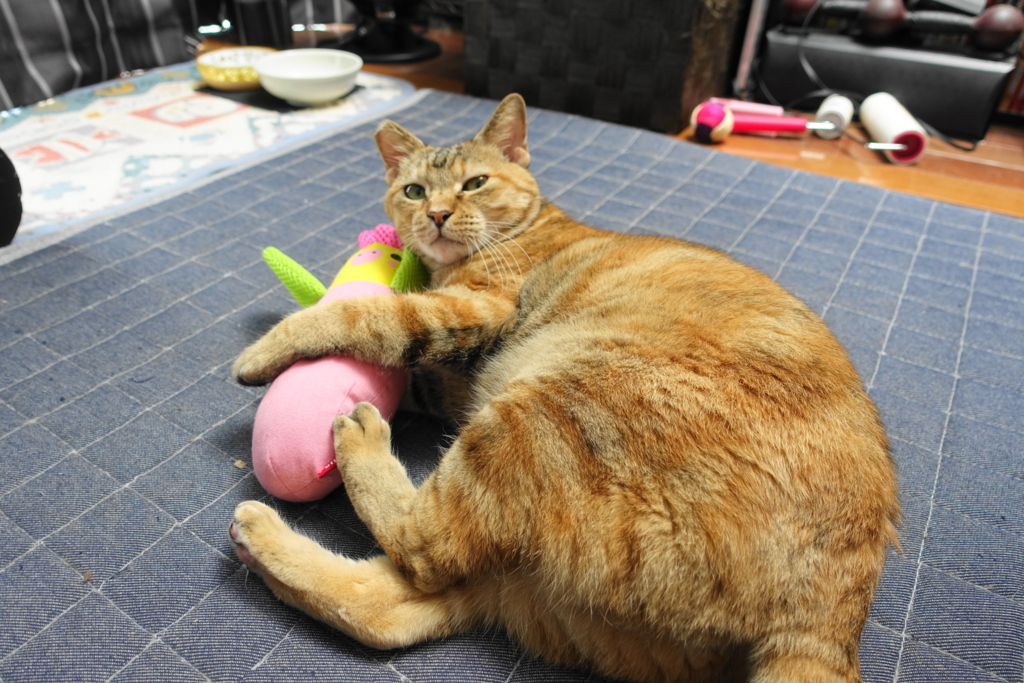 f:id:shigeo-t:20180722102330j:plain f:id:shigeo-t:20180722102330j:plain