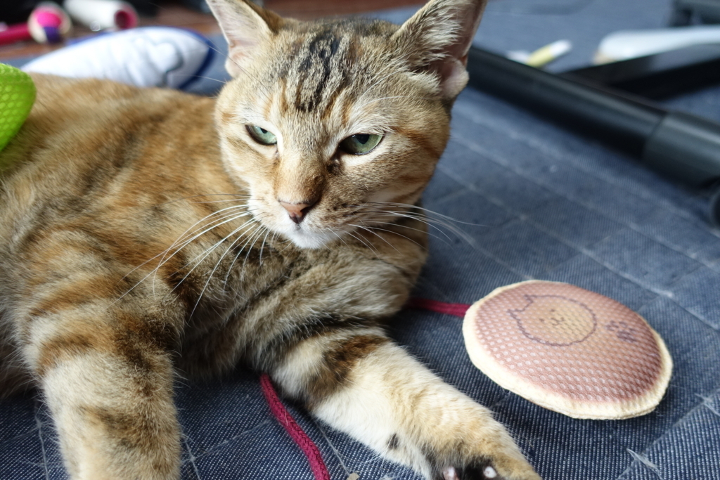 f:id:shigeo-t:20180722102920j:plain f:id:shigeo-t:20180722102920j:plain