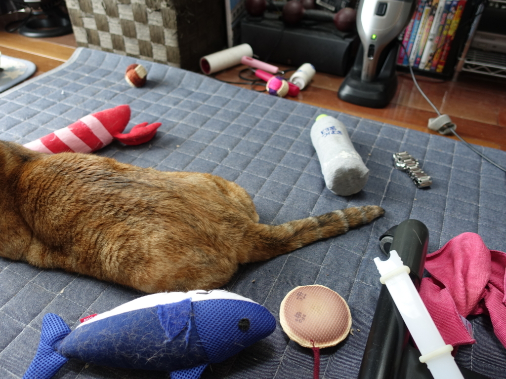 f:id:shigeo-t:20180726093838j:plain