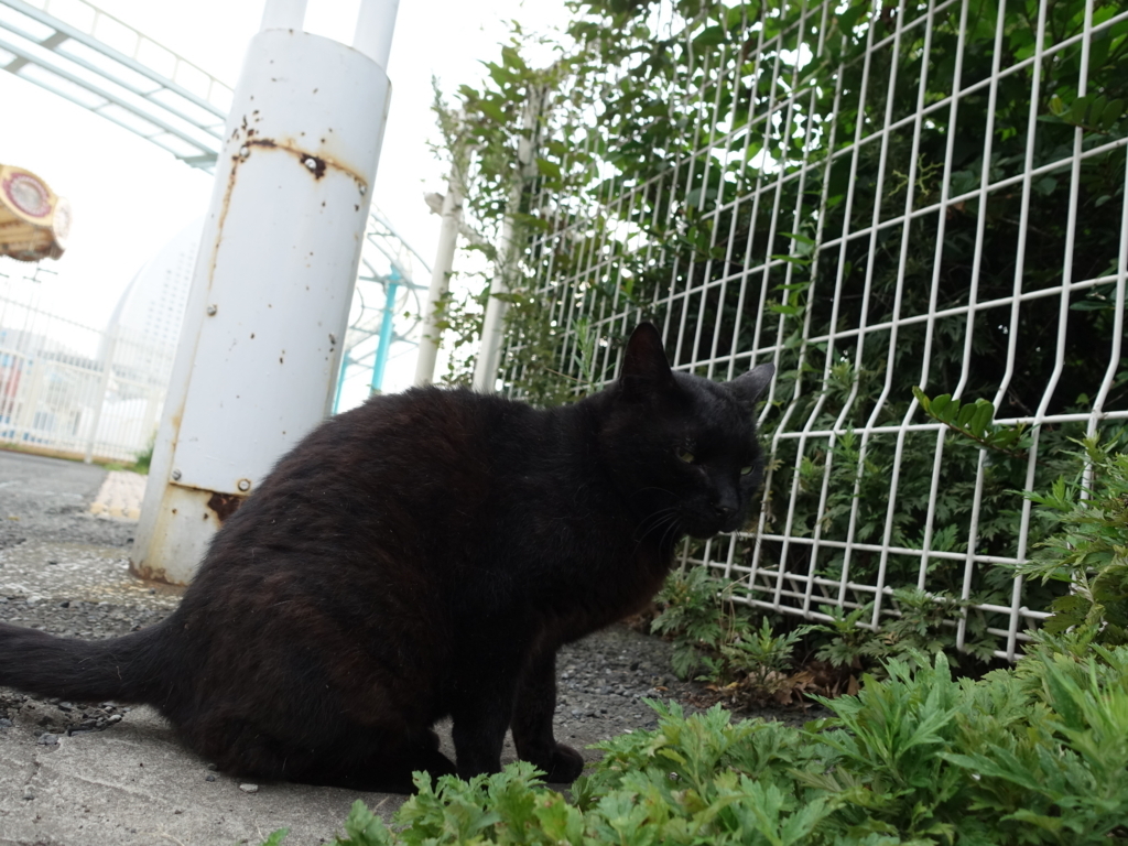 f:id:shigeo-t:20180728090422j:plain f:id:shigeo-t:20180728090422j:plain