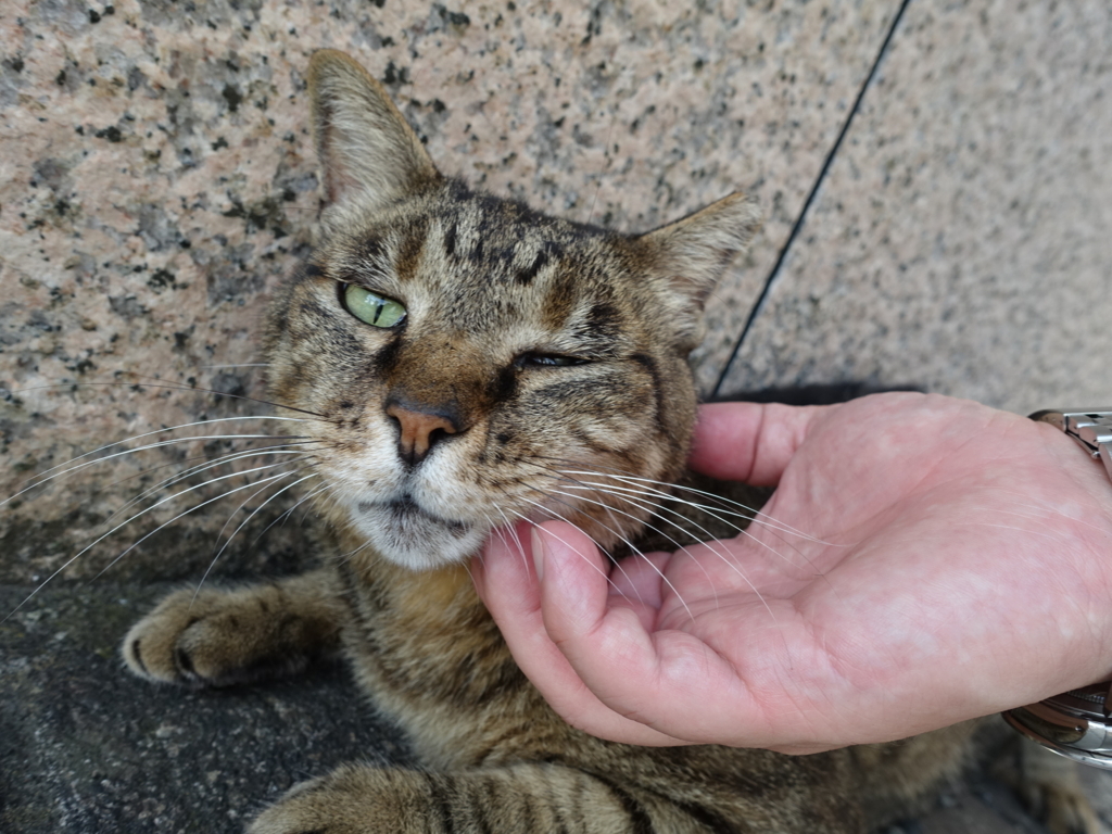 f:id:shigeo-t:20180728092801j:plain f:id:shigeo-t:20180728092801j:plain