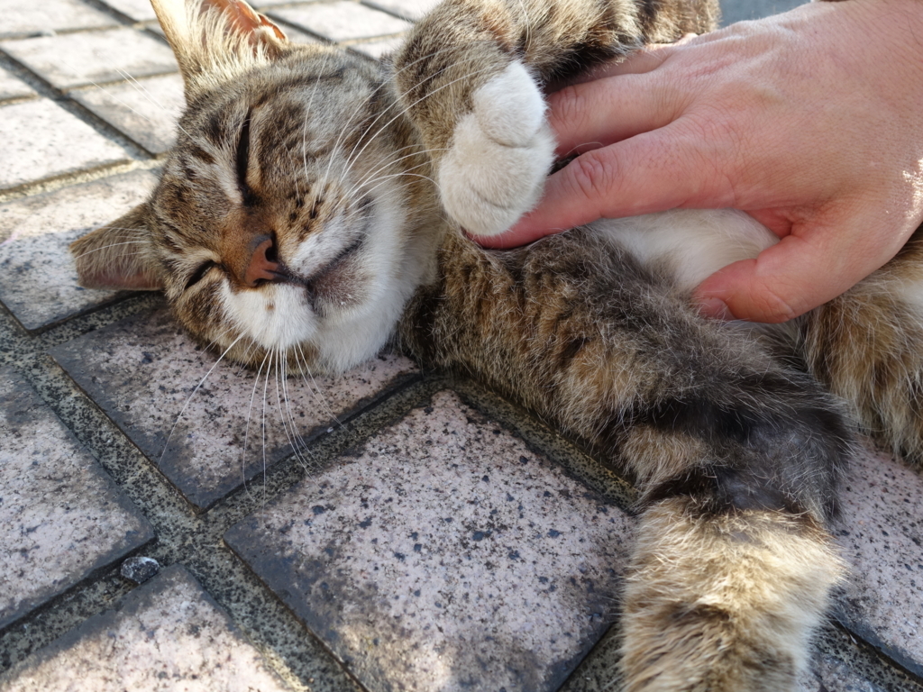 f:id:shigeo-t:20180728094015j:plain f:id:shigeo-t:20180728094015j:plain