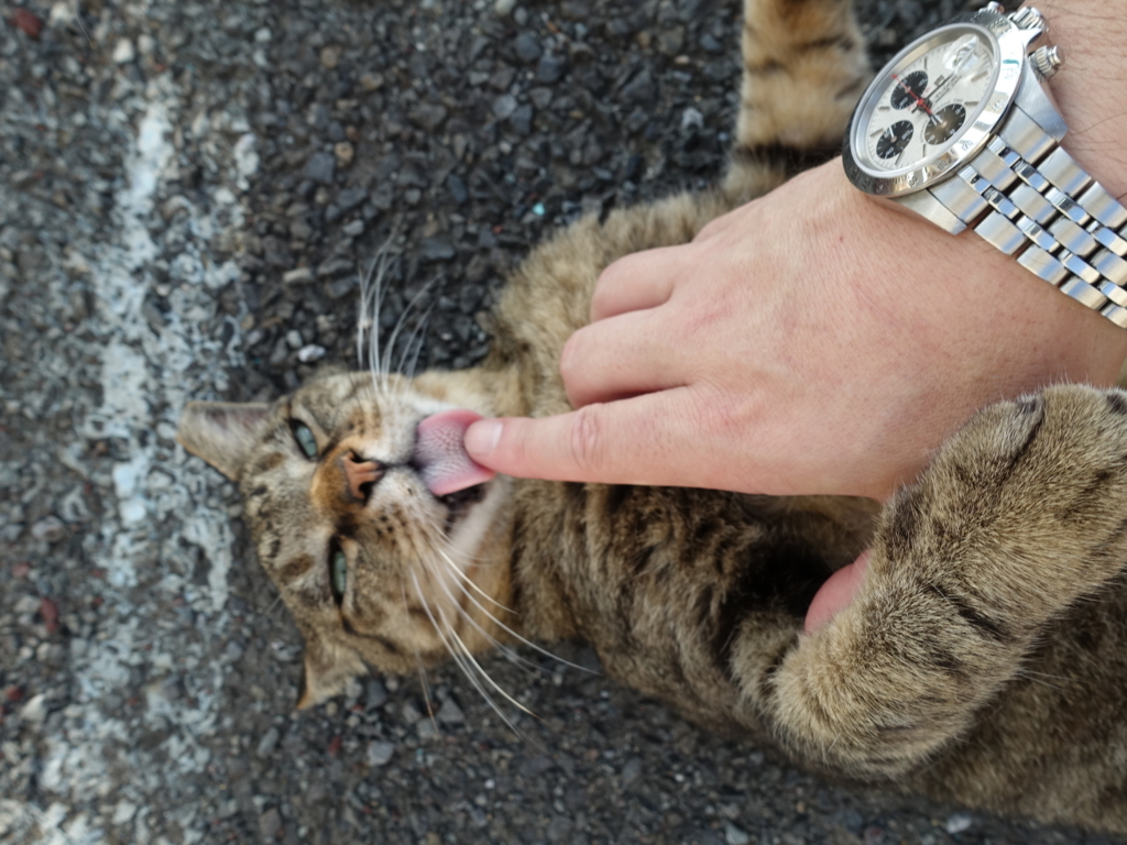 f:id:shigeo-t:20180730093326j:plain