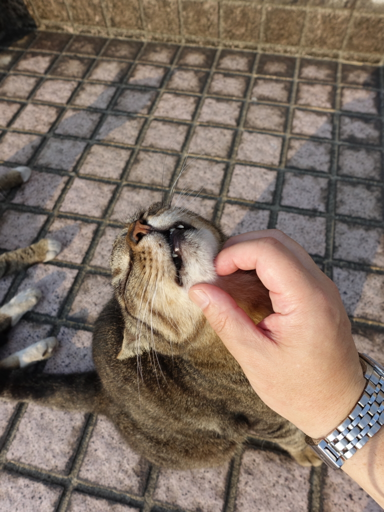 f:id:shigeo-t:20180730094419j:plain