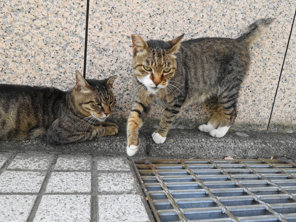f:id:shigeo-t:20180730100009j:plain