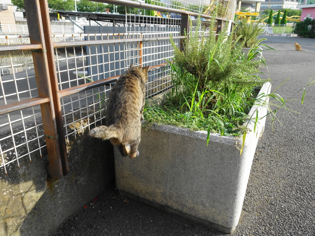 f:id:shigeo-t:20180730100123j:plain