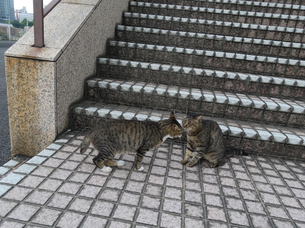 f:id:shigeo-t:20180803094337j:plain f:id:shigeo-t:20180803094337j:plain