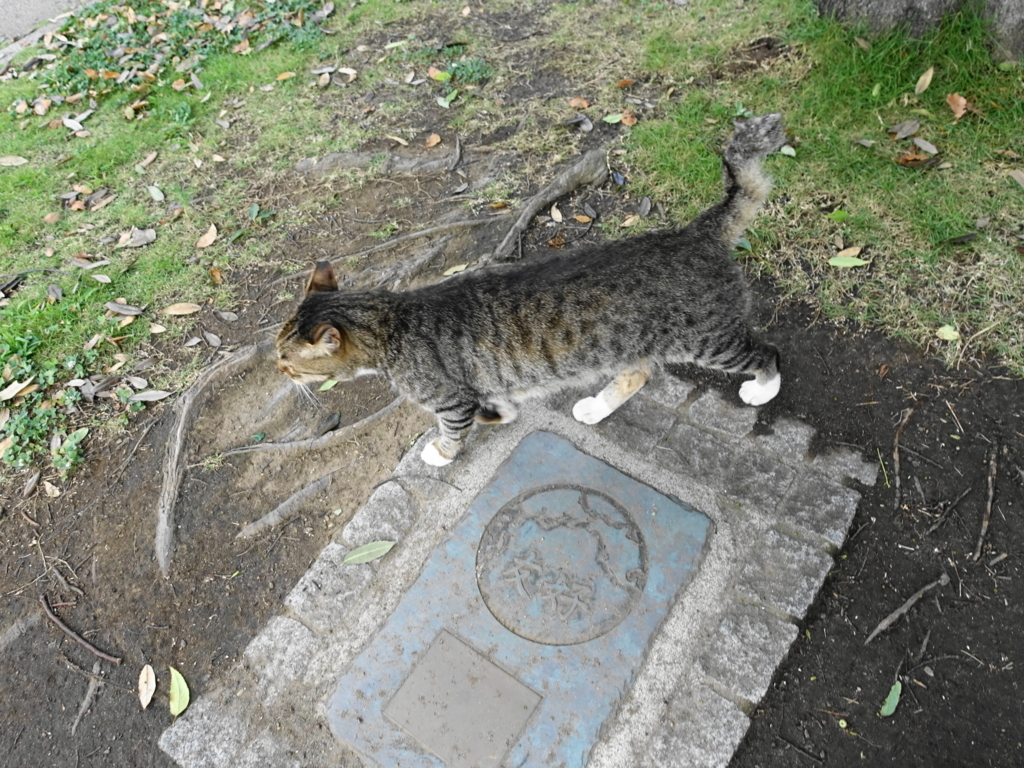 f:id:shigeo-t:20180803103758j:plain f:id:shigeo-t:20180803103758j:plain