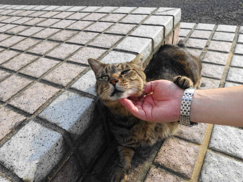 f:id:shigeo-t:20180805093847j:plain f:id:shigeo-t:20180805093847j:plain