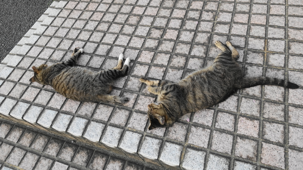 f:id:shigeo-t:20180805093929j:plain f:id:shigeo-t:20180805093929j:plain