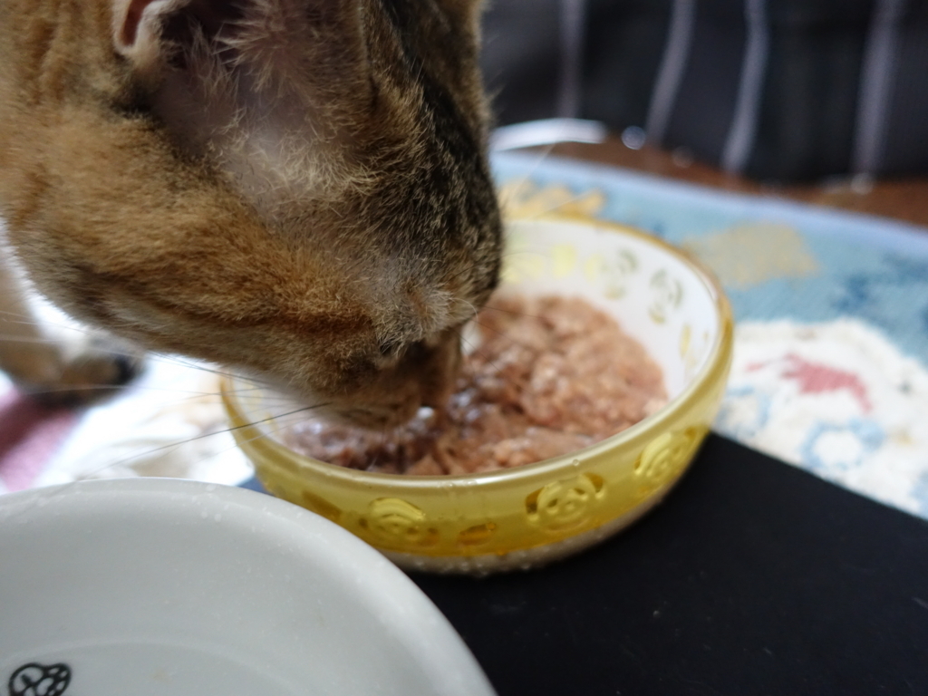 f:id:shigeo-t:20180807103740j:plain f:id:shigeo-t:20180807103740j:plain