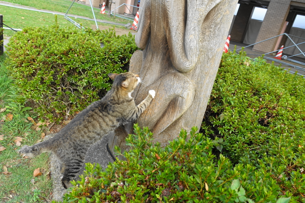 f:id:shigeo-t:20180814101307j:plain