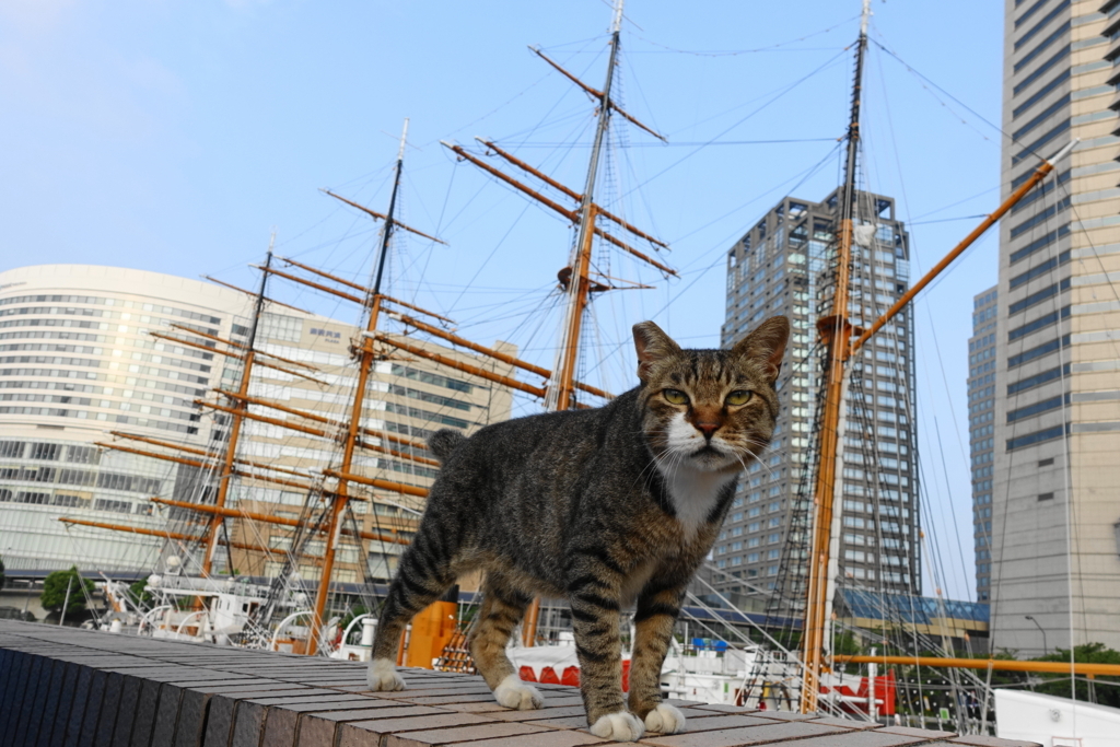 f:id:shigeo-t:20180814101730j:plain