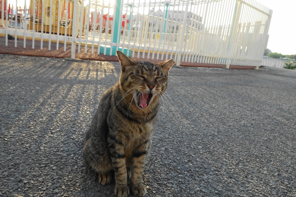 f:id:shigeo-t:20180816103414j:plain f:id:shigeo-t:20180816103414j:plain