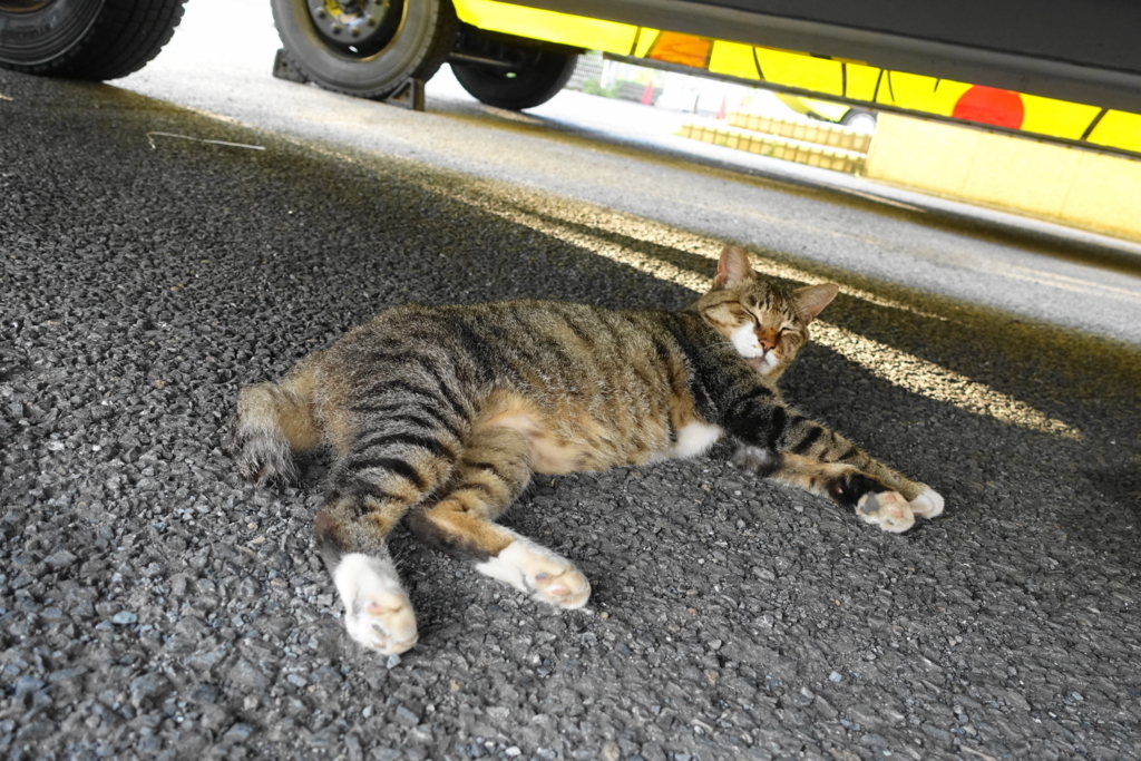 f:id:shigeo-t:20180816104021j:plain f:id:shigeo-t:20180816104021j:plain