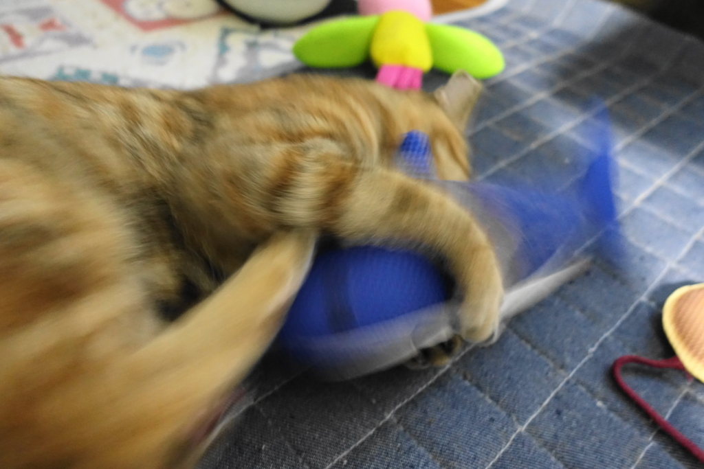 f:id:shigeo-t:20180820104921j:plain f:id:shigeo-t:20180820104921j:plain