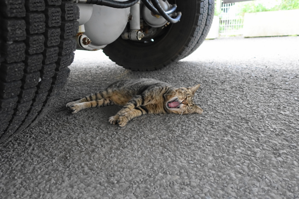 f:id:shigeo-t:20180825103432j:plain f:id:shigeo-t:20180825103432j:plain