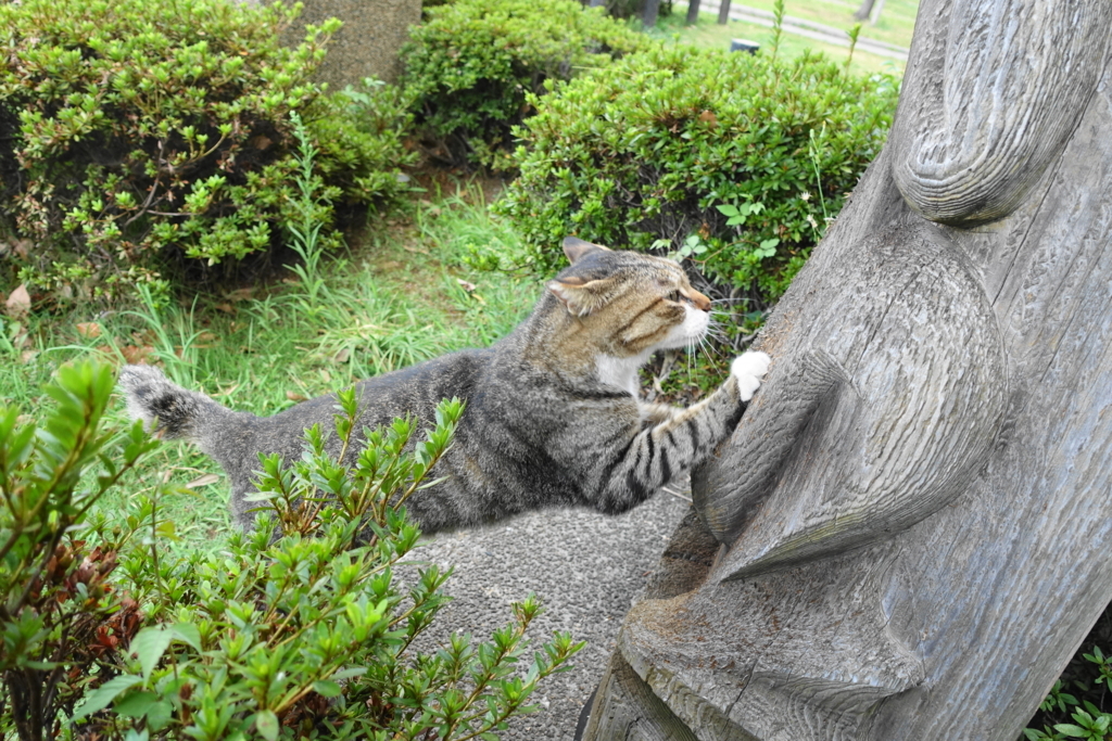 f:id:shigeo-t:20180827091438j:plain f:id:shigeo-t:20180827091438j:plain