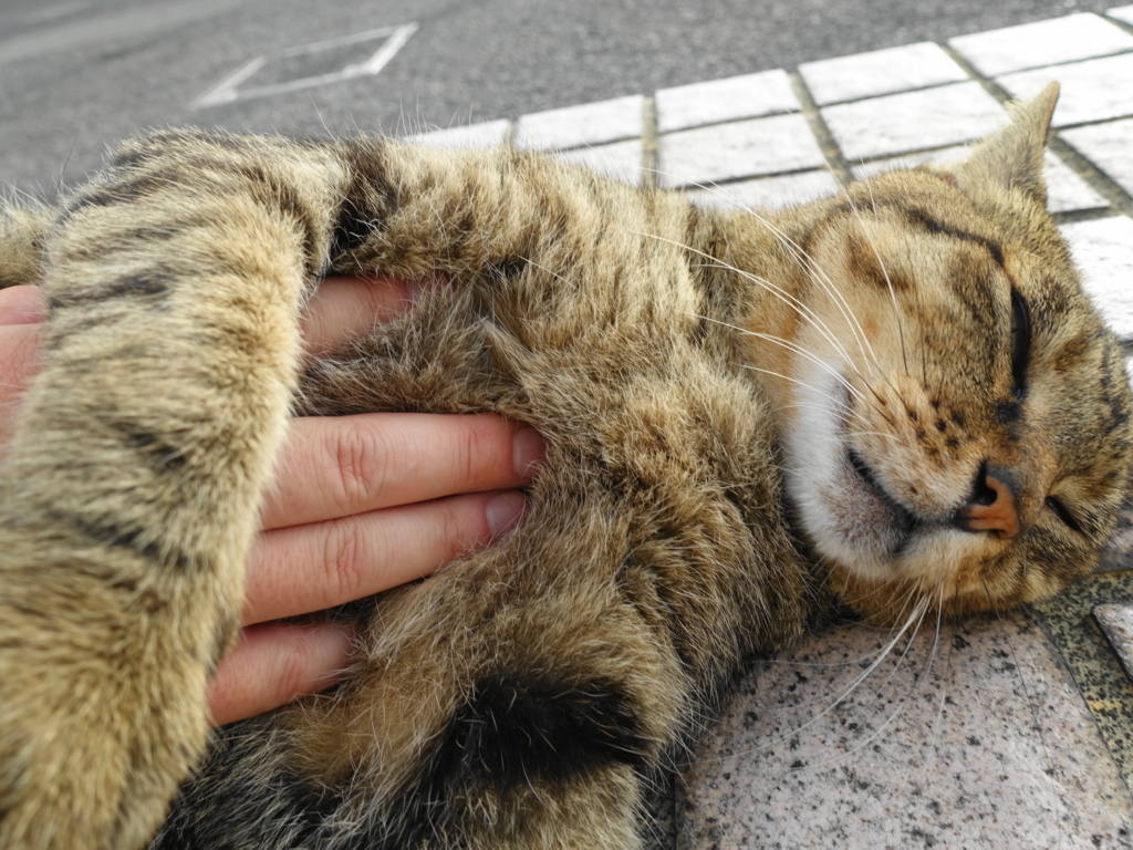 f:id:shigeo-t:20180827092414j:plain f:id:shigeo-t:20180827092414j:plain