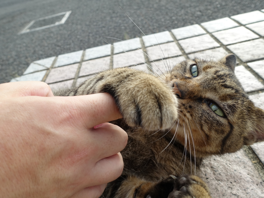 f:id:shigeo-t:20180827092422j:plain f:id:shigeo-t:20180827092422j:plain