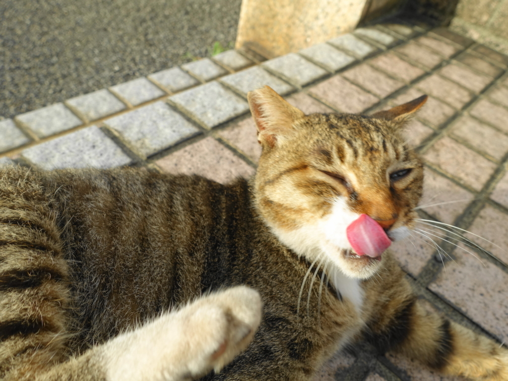 f:id:shigeo-t:20180827092600j:plain f:id:shigeo-t:20180827092600j:plain