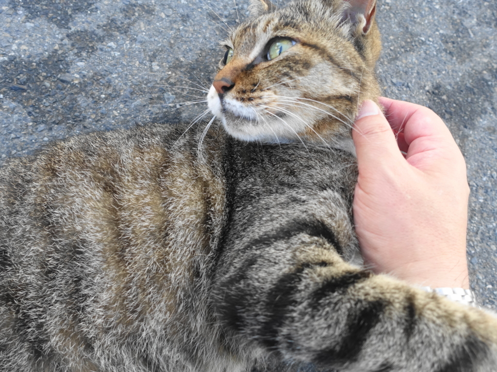 f:id:shigeo-t:20180829092009j:plain f:id:shigeo-t:20180829092009j:plain