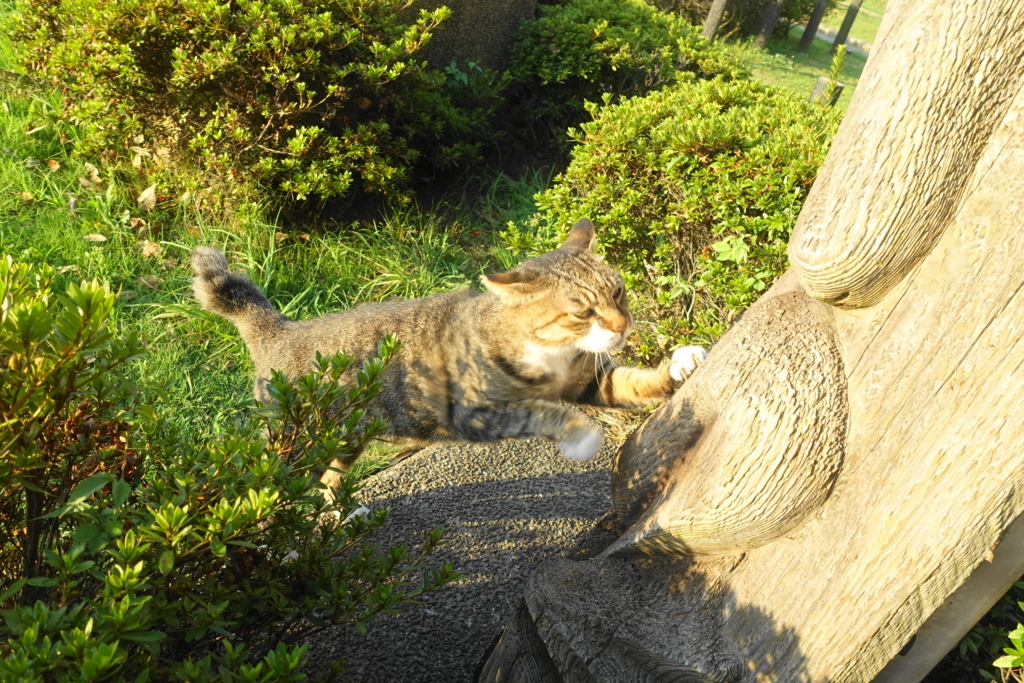 f:id:shigeo-t:20180829092701j:plain f:id:shigeo-t:20180829092701j:plain