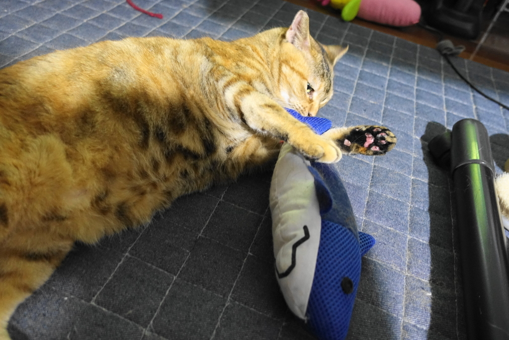 f:id:shigeo-t:20180901113038j:plain f:id:shigeo-t:20180901113038j:plain