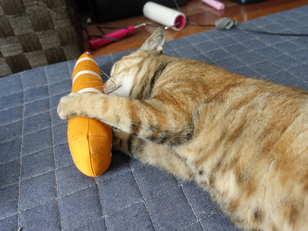 f:id:shigeo-t:20180908100748j:plain f:id:shigeo-t:20180908100748j:plain