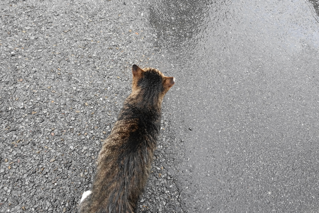 f:id:shigeo-t:20180916102139j:plain f:id:shigeo-t:20180916102139j:plain