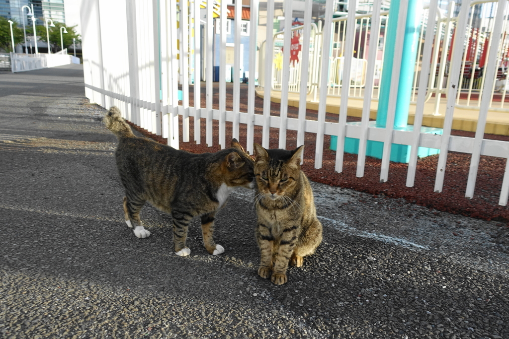 f:id:shigeo-t:20180916104632j:plain f:id:shigeo-t:20180916104632j:plain