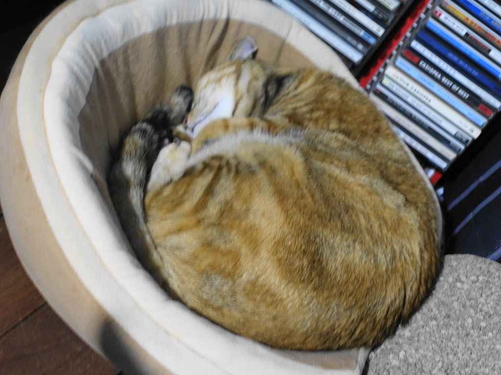 f:id:shigeo-t:20180924101612j:plain f:id:shigeo-t:20180924101612j:plain