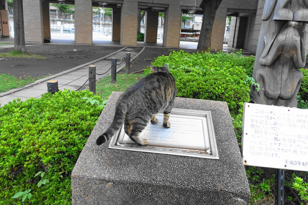 f:id:shigeo-t:20180928092621j:plain f:id:shigeo-t:20180928092621j:plain