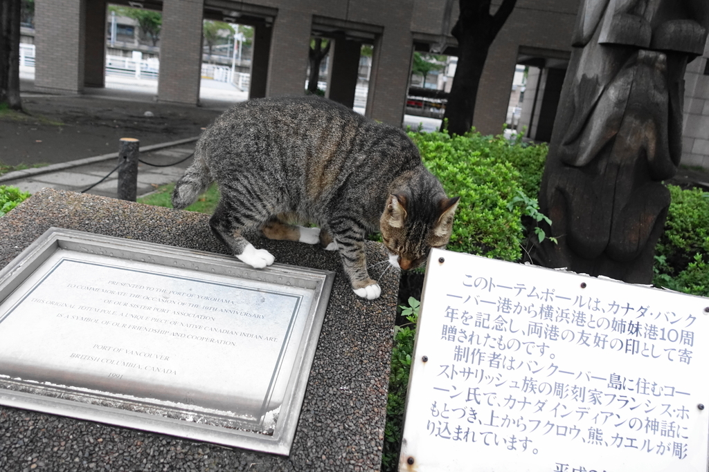 f:id:shigeo-t:20180930093328j:plain f:id:shigeo-t:20180930093328j:plain