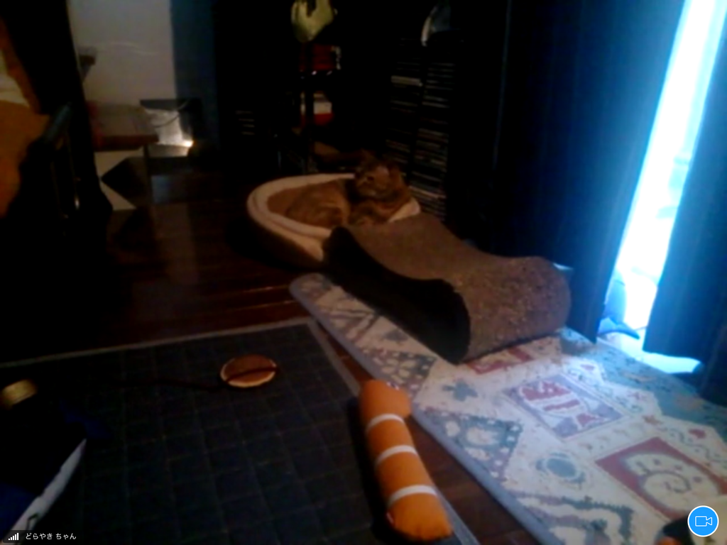 f:id:shigeo-t:20181011095352p:plain