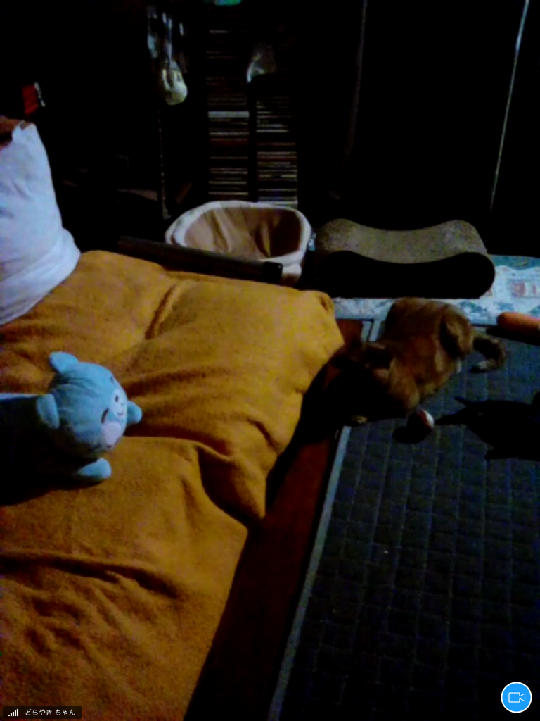 f:id:shigeo-t:20181011095926p:plain