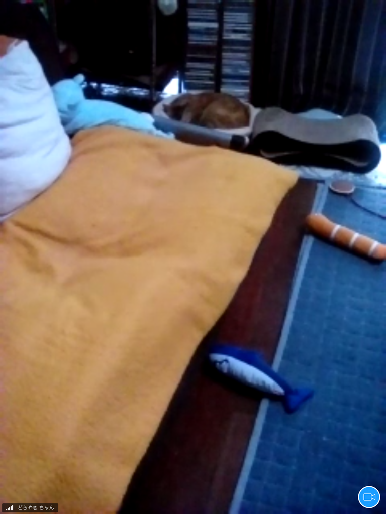 f:id:shigeo-t:20181011100940p:plain