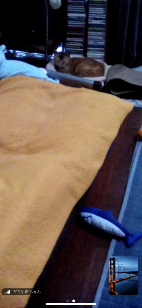 f:id:shigeo-t:20181011101008p:plain