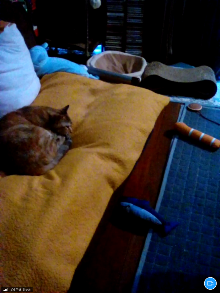 f:id:shigeo-t:20181011101351p:plain