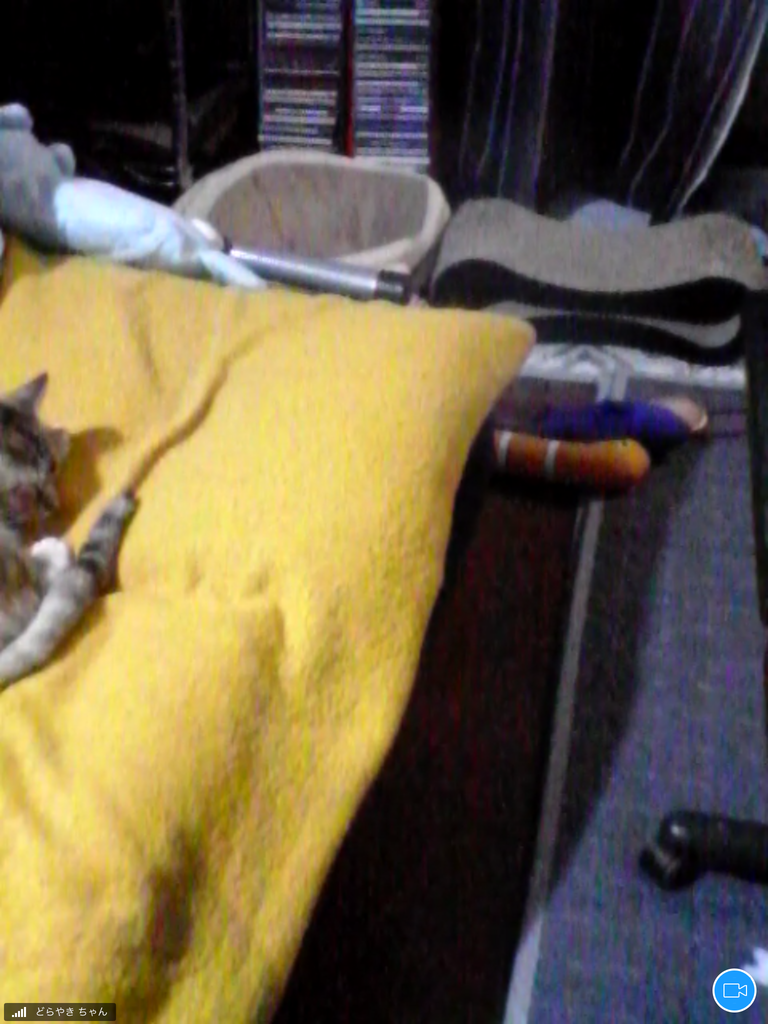 f:id:shigeo-t:20181011101919p:plain