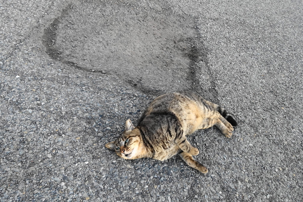 f:id:shigeo-t:20181014084754j:plain