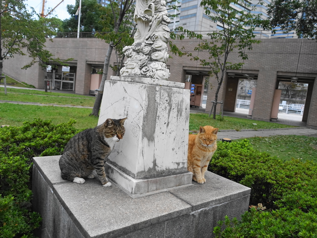 f:id:shigeo-t:20181016093958j:plain f:id:shigeo-t:20181016093958j:plain