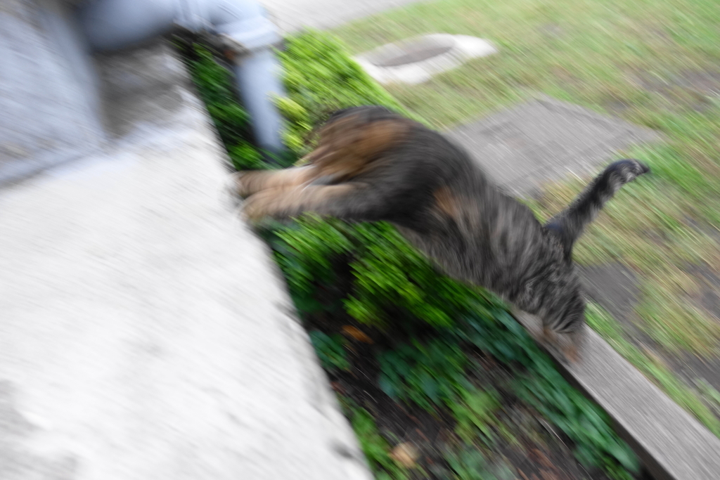 f:id:shigeo-t:20181018102844j:plain f:id:shigeo-t:20181018102844j:plain
