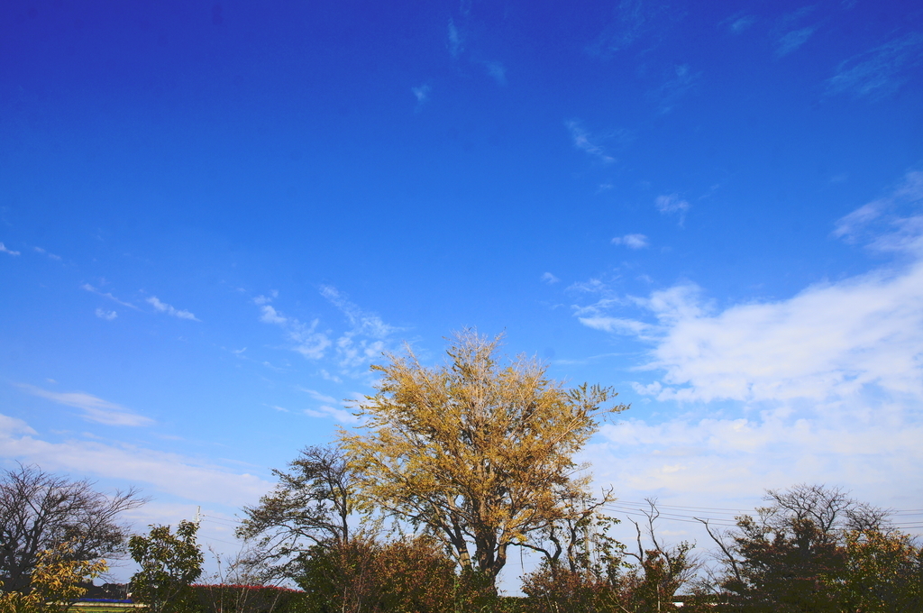 f:id:shigeo-t:20181018161319j:plain