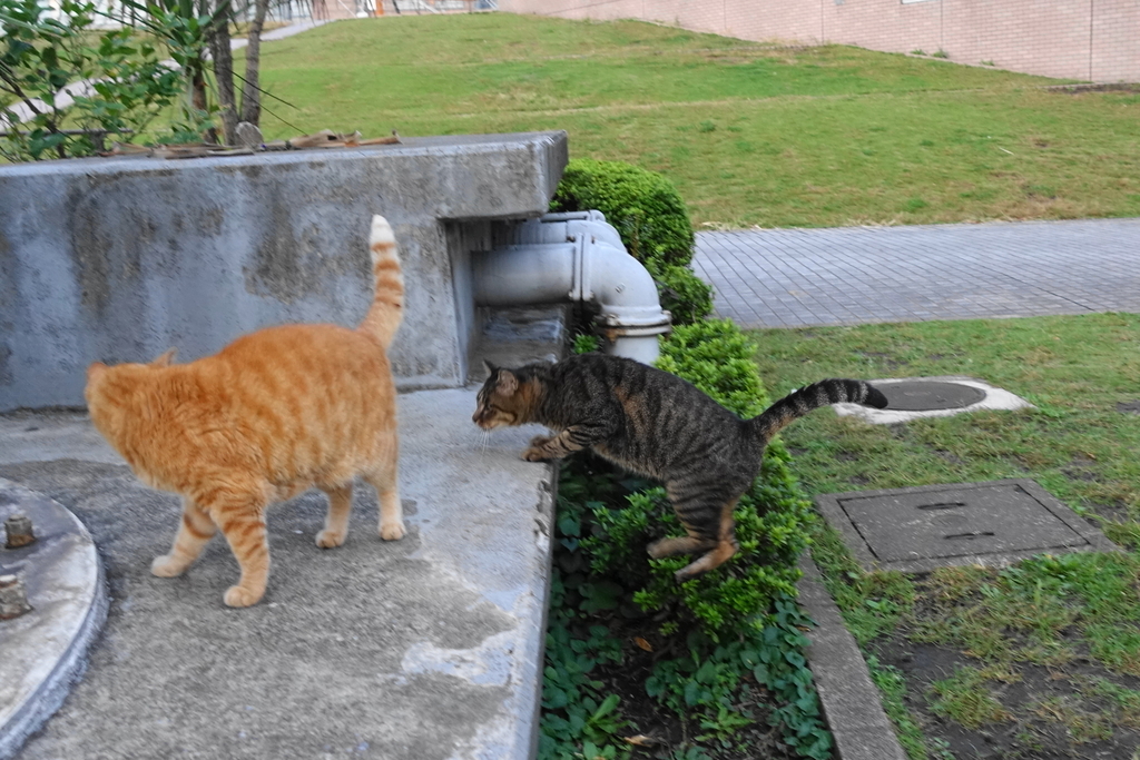 f:id:shigeo-t:20181025110928j:plain f:id:shigeo-t:20181025110928j:plain