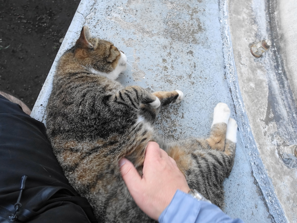 f:id:shigeo-t:20181028094937j:plain