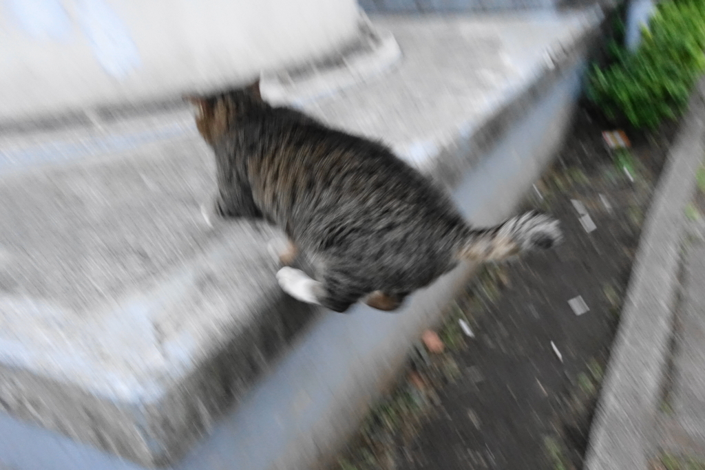 f:id:shigeo-t:20181110110321j:plain f:id:shigeo-t:20181110110321j:plain