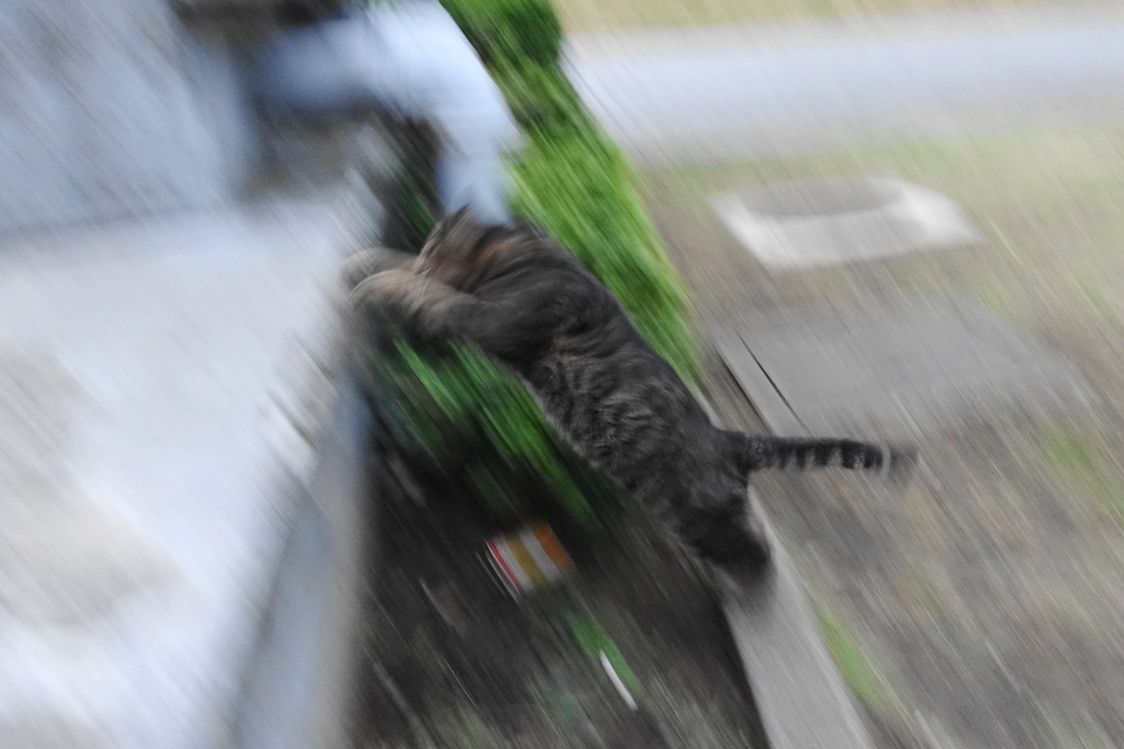f:id:shigeo-t:20181110110356j:plain f:id:shigeo-t:20181110110356j:plain